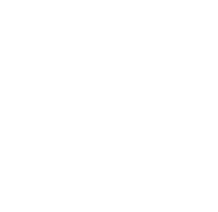 Brain